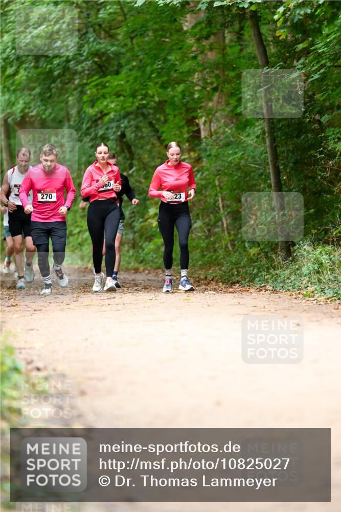 11.10.2026 - Bramfelder Halbmarathon 2026 Dr. Thomas Lammeyer http://msf.ph/oto/10825027 11.10.2026 10:47:14 Laufen 270, 00, 23 meine-sportfotos.de
