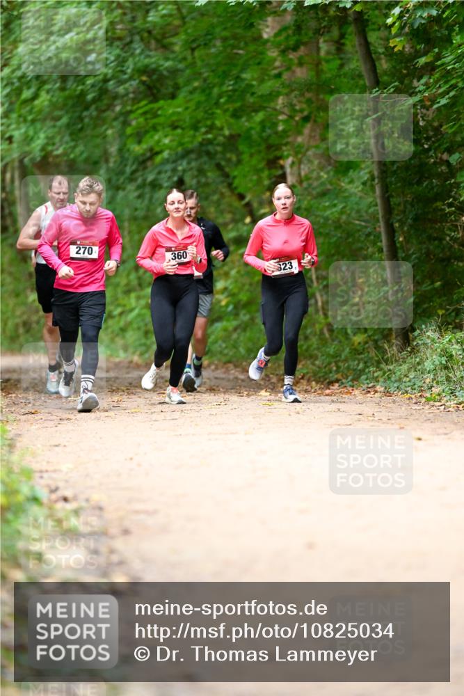 11.10.2026 - Bramfelder Halbmarathon 2026 Dr. Thomas Lammeyer http://msf.ph/oto/10825034 11.10.2026 10:47:15 Laufen 270, 360, 323 meine-sportfotos.de