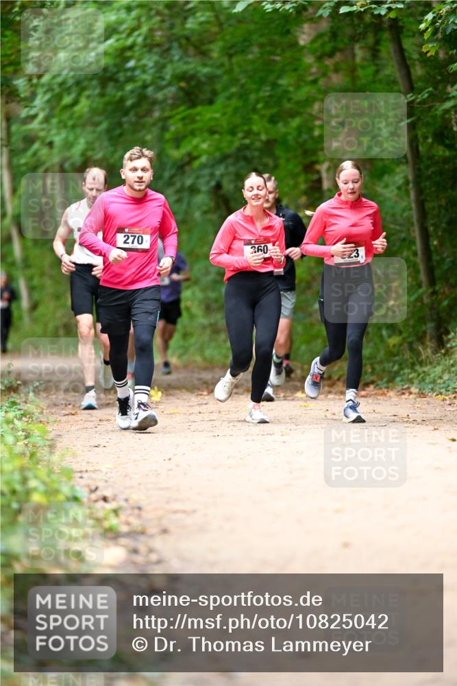 11.10.2026 - Bramfelder Halbmarathon 2026 Dr. Thomas Lammeyer http://msf.ph/oto/10825042 11.10.2026 10:47:17 Laufen 270, 260 meine-sportfotos.de