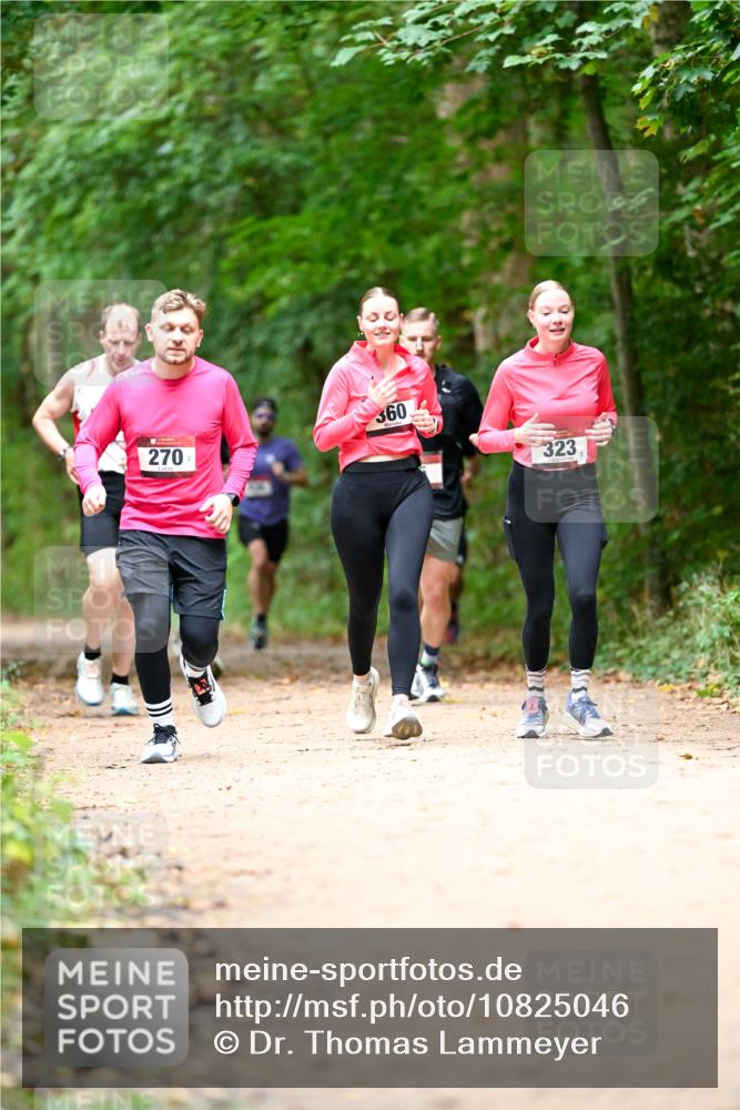 11.10.2026 - Bramfelder Halbmarathon 2026 Dr. Thomas Lammeyer http://msf.ph/oto/10825046 11.10.2026 10:47:17 Laufen 270, 360, 323 meine-sportfotos.de
