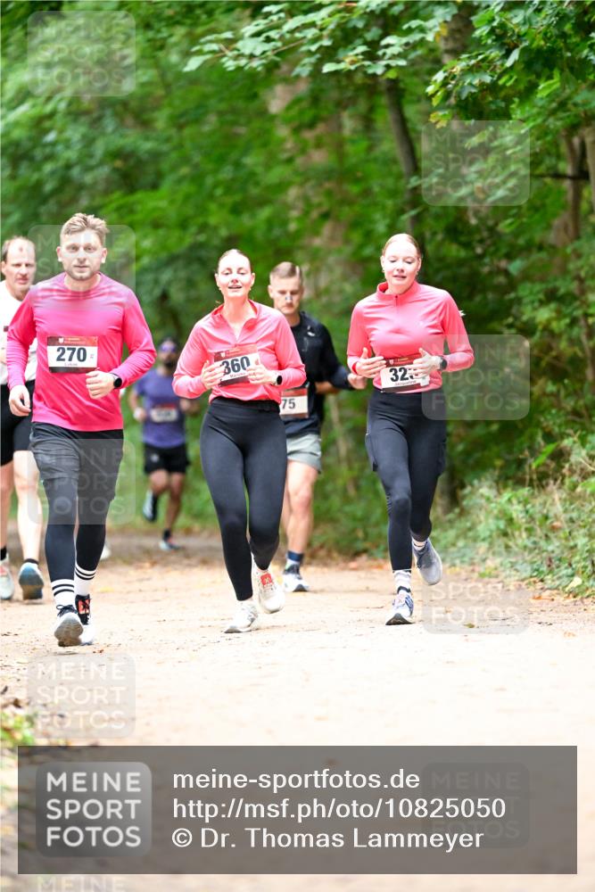 11.10.2026 - Bramfelder Halbmarathon 2026 Dr. Thomas Lammeyer http://msf.ph/oto/10825050 11.10.2026 10:47:18 Laufen 270, 360, 75, 32 meine-sportfotos.de