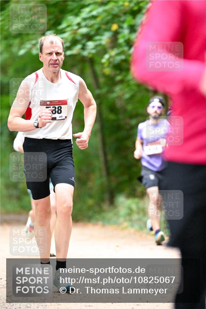11.10.2026 - Bramfelder Halbmarathon 2026 Dr. Thomas Lammeyer http://msf.ph/oto/10825067 11.10.2026 10:47:22 Laufen 35, 38, 245 meine-sportfotos.de