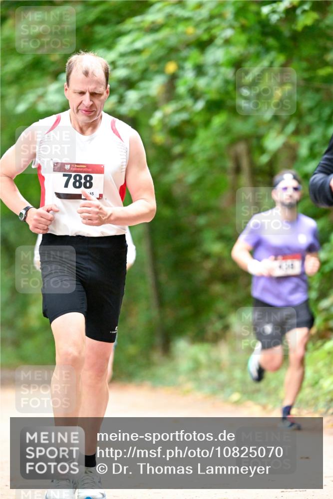 11.10.2026 - Bramfelder Halbmarathon 2026 Dr. Thomas Lammeyer http://msf.ph/oto/10825070 11.10.2026 10:47:23 Laufen 35, 788, 45 meine-sportfotos.de