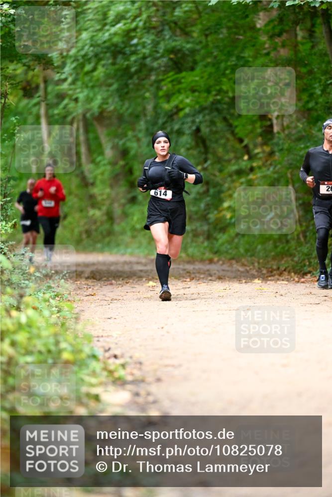 11.10.2026 - Bramfelder Halbmarathon 2026 Dr. Thomas Lammeyer http://msf.ph/oto/10825078 11.10.2026 10:47:34 Laufen 614, 26 meine-sportfotos.de