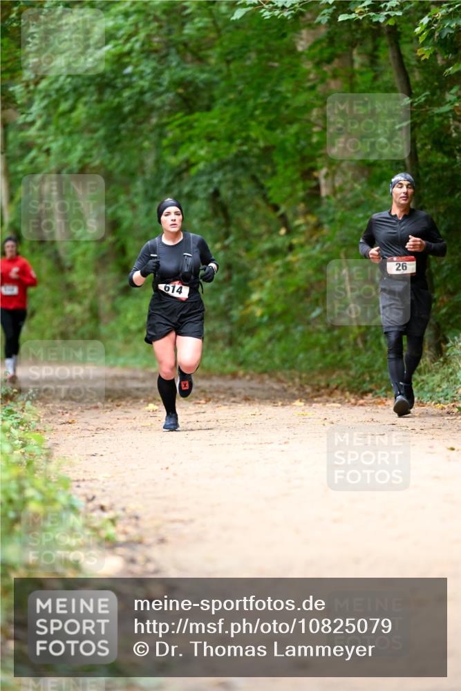 11.10.2026 - Bramfelder Halbmarathon 2026 Dr. Thomas Lammeyer http://msf.ph/oto/10825079 11.10.2026 10:47:34 Laufen 614, 26 meine-sportfotos.de