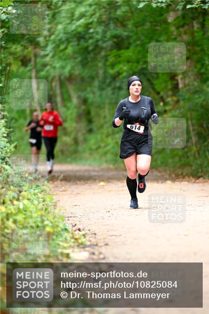 11.10.2026 - Bramfelder Halbmarathon 2026 Dr. Thomas Lammeyer http://msf.ph/oto/10825084 11.10.2026 10:47:36 Laufen 614 meine-sportfotos.de