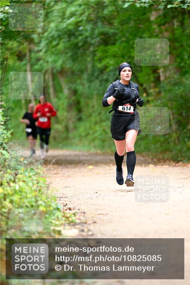 11.10.2026 - Bramfelder Halbmarathon 2026 Dr. Thomas Lammeyer http://msf.ph/oto/10825085 11.10.2026 10:47:36 Laufen 614 meine-sportfotos.de