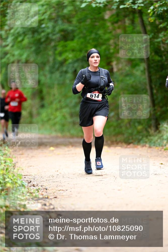 11.10.2026 - Bramfelder Halbmarathon 2026 Dr. Thomas Lammeyer http://msf.ph/oto/10825090 11.10.2026 10:47:36 Laufen 614 meine-sportfotos.de