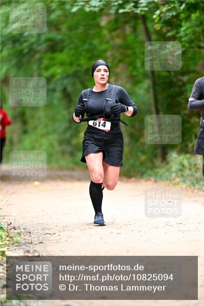 11.10.2026 - Bramfelder Halbmarathon 2026 Dr. Thomas Lammeyer http://msf.ph/oto/10825094 11.10.2026 10:47:37 Laufen 614 meine-sportfotos.de