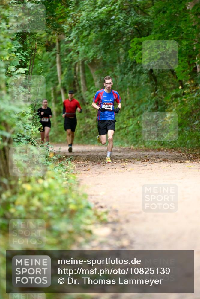 11.10.2026 - Bramfelder Halbmarathon 2026 Dr. Thomas Lammeyer http://msf.ph/oto/10825139 11.10.2026 10:47:58 Laufen 444, 444 meine-sportfotos.de