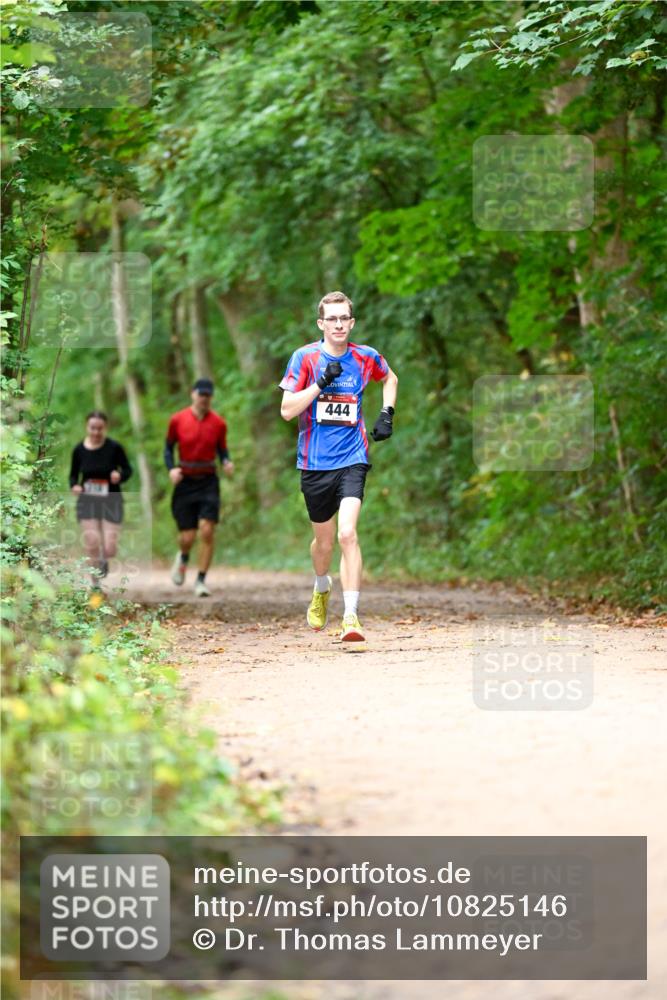 11.10.2026 - Bramfelder Halbmarathon 2026 Dr. Thomas Lammeyer http://msf.ph/oto/10825146 11.10.2026 10:47:59 Laufen 444 meine-sportfotos.de