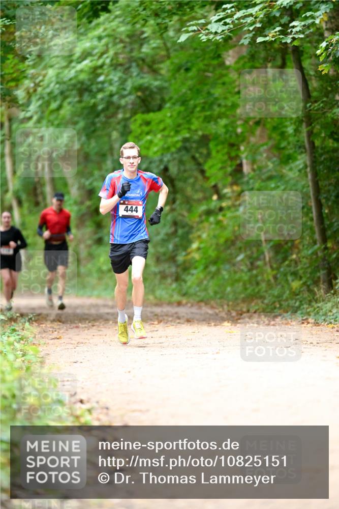 11.10.2026 - Bramfelder Halbmarathon 2026 Dr. Thomas Lammeyer http://msf.ph/oto/10825151 11.10.2026 10:48:00 Laufen 444 meine-sportfotos.de