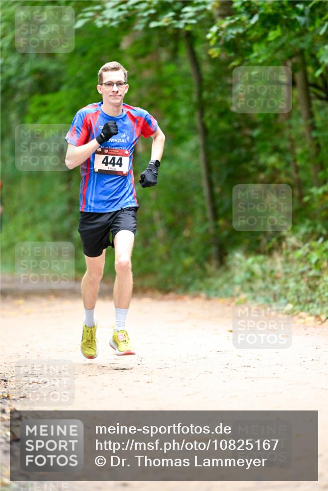 11.10.2026 - Bramfelder Halbmarathon 2026 Dr. Thomas Lammeyer http://msf.ph/oto/10825167 11.10.2026 10:48:02 Laufen 444 meine-sportfotos.de
