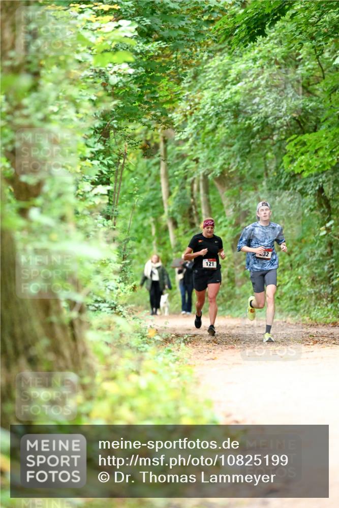 11.10.2026 - Bramfelder Halbmarathon 2026 Dr. Thomas Lammeyer http://msf.ph/oto/10825199 11.10.2026 10:48:33 Laufen 121, 32 meine-sportfotos.de