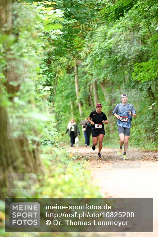 11.10.2026 - Bramfelder Halbmarathon 2026 Dr. Thomas Lammeyer http://msf.ph/oto/10825200 11.10.2026 10:48:33 Laufen 121, 232 meine-sportfotos.de