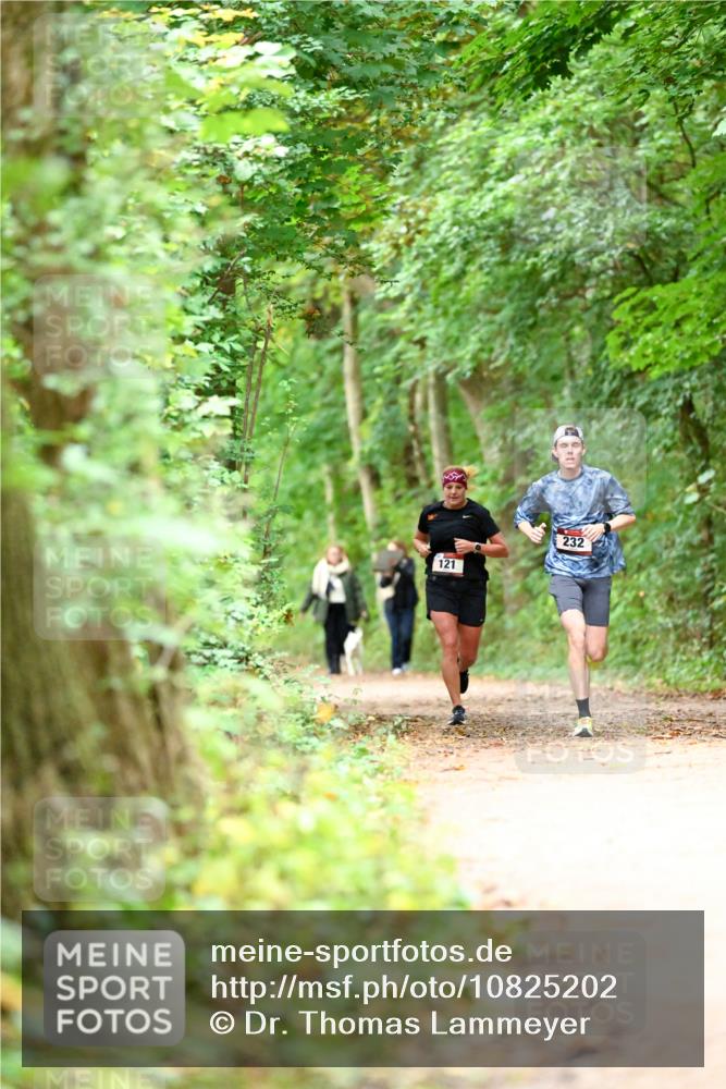 11.10.2026 - Bramfelder Halbmarathon 2026 Dr. Thomas Lammeyer http://msf.ph/oto/10825202 11.10.2026 10:48:34 Laufen 121, 232 meine-sportfotos.de