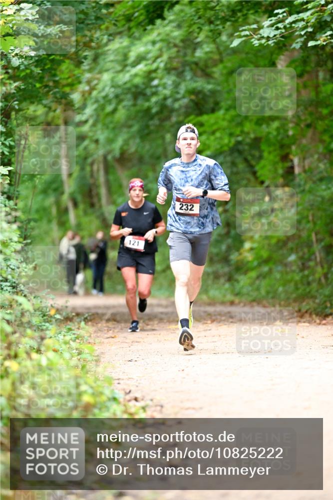 11.10.2026 - Bramfelder Halbmarathon 2026 Dr. Thomas Lammeyer http://msf.ph/oto/10825222 11.10.2026 10:48:37 Laufen 121, 232 meine-sportfotos.de