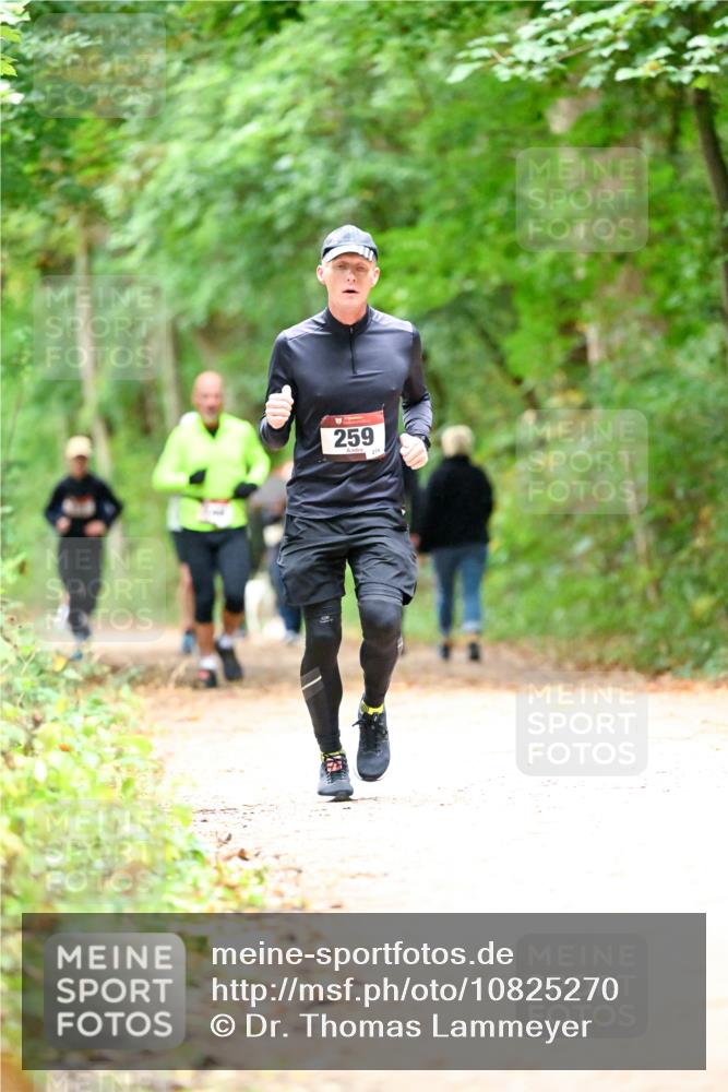 11.10.2026 - Bramfelder Halbmarathon 2026 Dr. Thomas Lammeyer http://msf.ph/oto/10825270 11.10.2026 10:48:52 Laufen 259, 274 meine-sportfotos.de