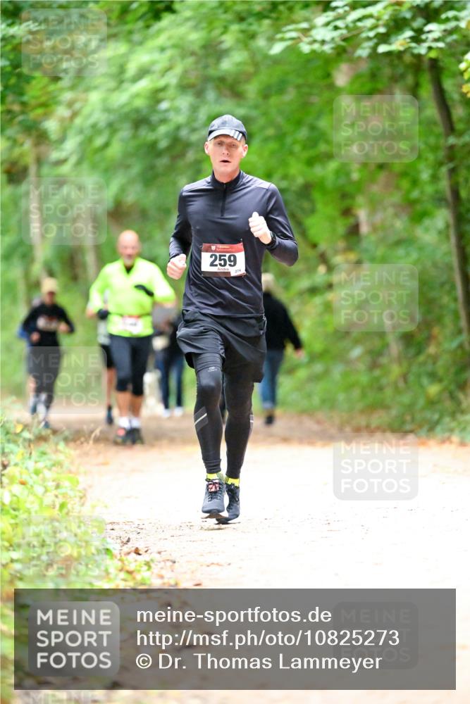 11.10.2026 - Bramfelder Halbmarathon 2026 Dr. Thomas Lammeyer http://msf.ph/oto/10825273 11.10.2026 10:48:52 Laufen 259, 274 meine-sportfotos.de