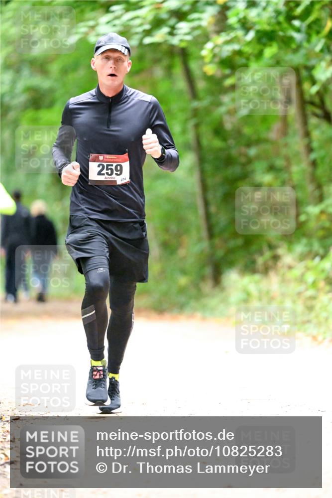 11.10.2026 - Bramfelder Halbmarathon 2026 Dr. Thomas Lammeyer http://msf.ph/oto/10825283 11.10.2026 10:48:54 Laufen 35, 259, 274 meine-sportfotos.de