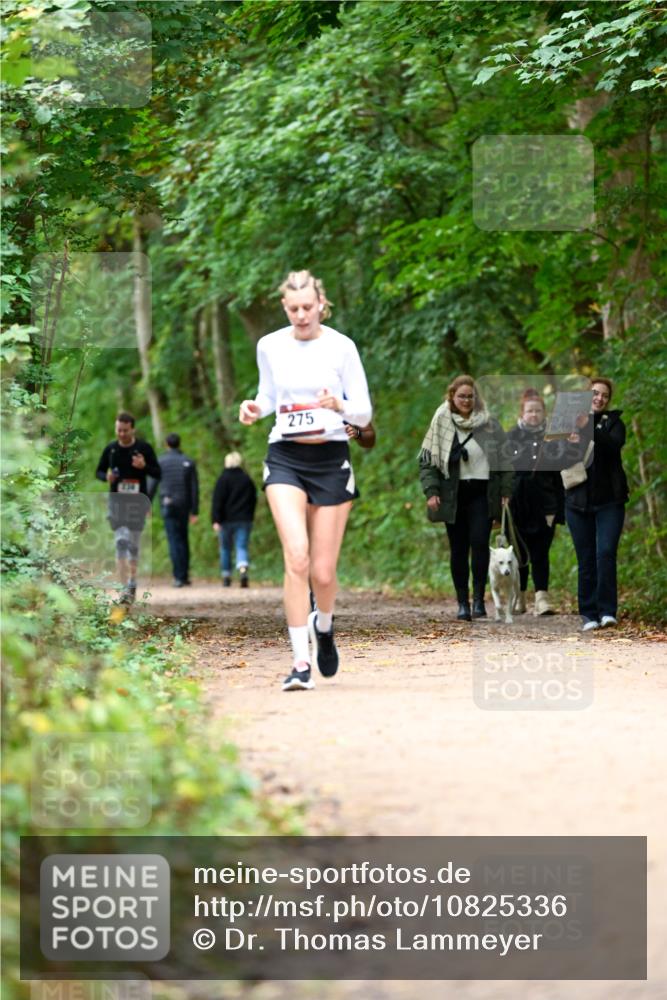 11.10.2026 - Bramfelder Halbmarathon 2026 Dr. Thomas Lammeyer http://msf.ph/oto/10825336 11.10.2026 10:49:08 Laufen 275 meine-sportfotos.de
