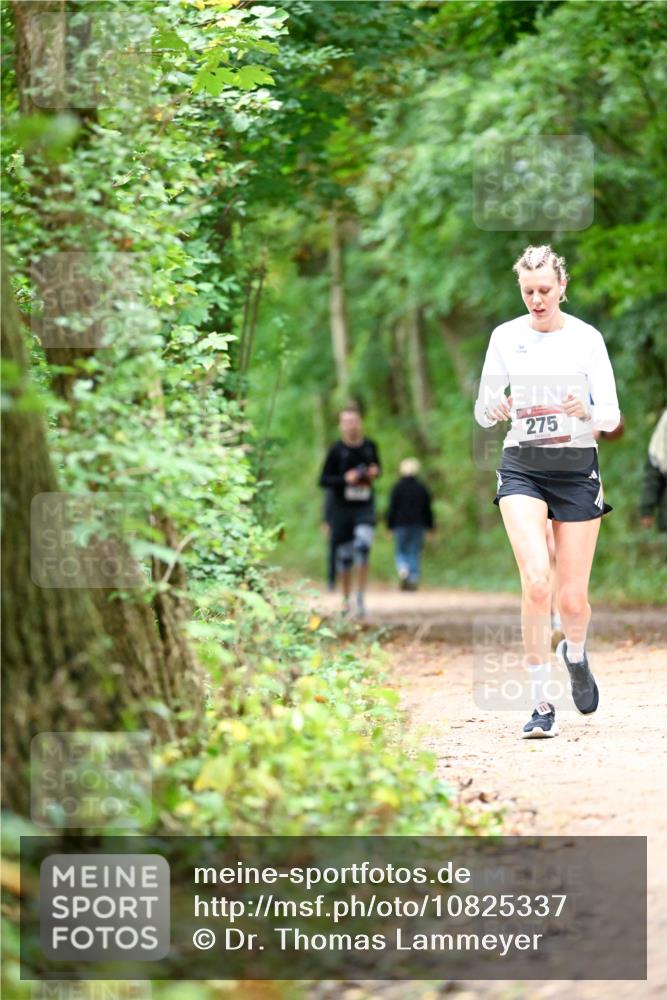 11.10.2026 - Bramfelder Halbmarathon 2026 Dr. Thomas Lammeyer http://msf.ph/oto/10825337 11.10.2026 10:49:10 Laufen 275 meine-sportfotos.de