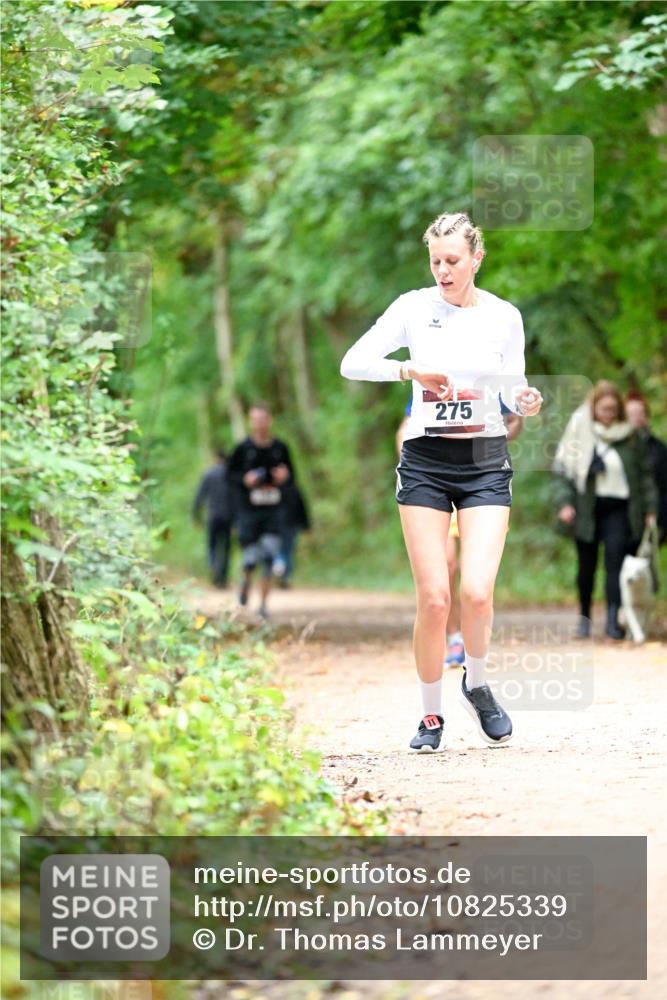 11.10.2026 - Bramfelder Halbmarathon 2026 Dr. Thomas Lammeyer http://msf.ph/oto/10825339 11.10.2026 10:49:11 Laufen 275 meine-sportfotos.de