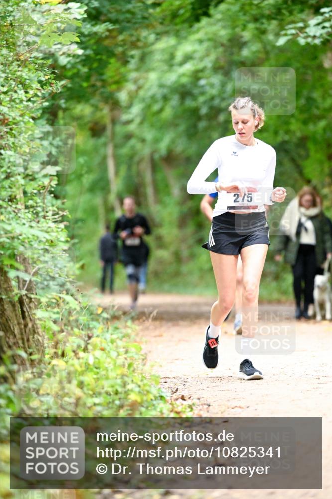 11.10.2026 - Bramfelder Halbmarathon 2026 Dr. Thomas Lammeyer http://msf.ph/oto/10825341 11.10.2026 10:49:11 Laufen 2, 5 meine-sportfotos.de