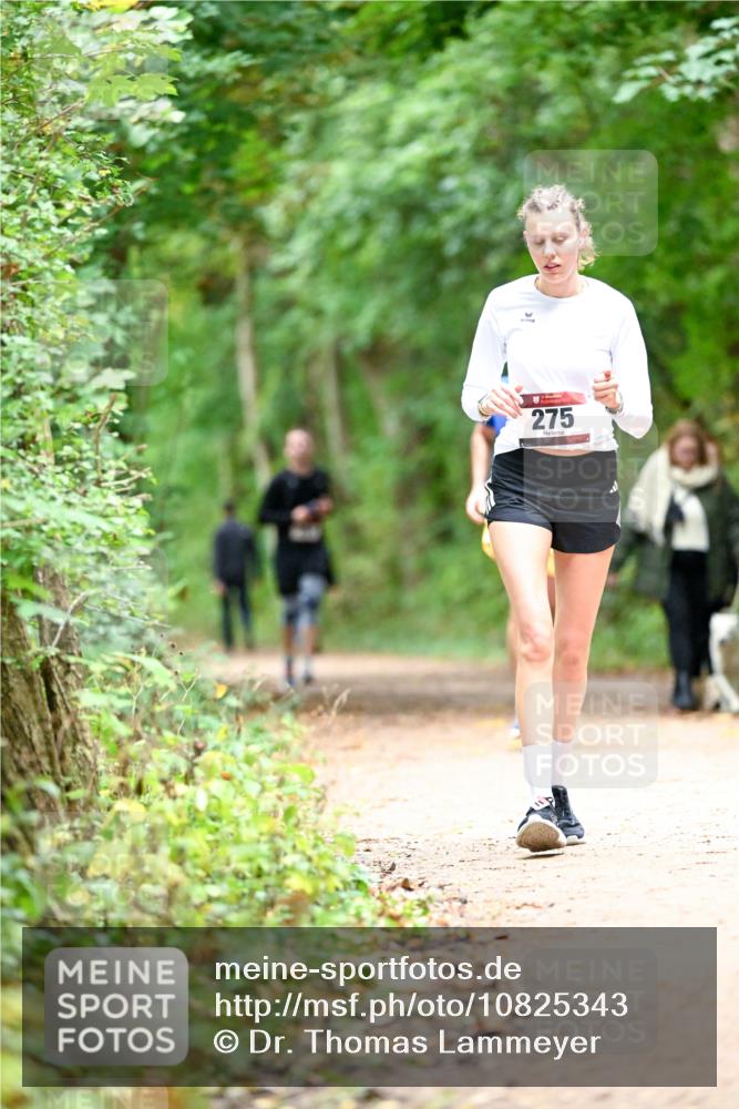 11.10.2026 - Bramfelder Halbmarathon 2026 Dr. Thomas Lammeyer http://msf.ph/oto/10825343 11.10.2026 10:49:11 Laufen 275 meine-sportfotos.de