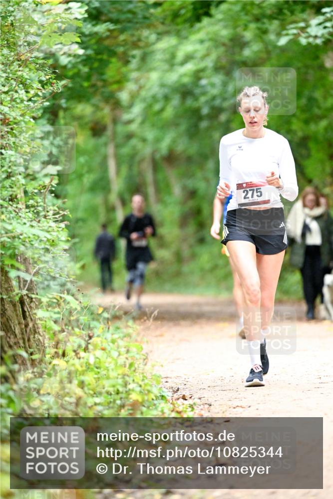 11.10.2026 - Bramfelder Halbmarathon 2026 Dr. Thomas Lammeyer http://msf.ph/oto/10825344 11.10.2026 10:49:11 Laufen 275 meine-sportfotos.de