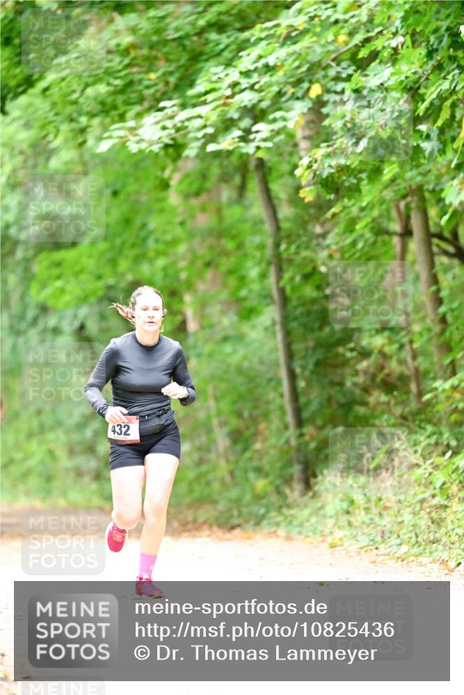 11.10.2026 - Bramfelder Halbmarathon 2026 Dr. Thomas Lammeyer http://msf.ph/oto/10825436 11.10.2026 10:50:00 Laufen 432 meine-sportfotos.de