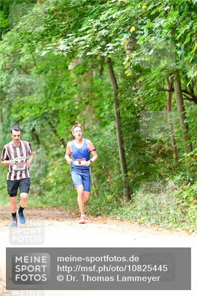 11.10.2026 - Bramfelder Halbmarathon 2026 Dr. Thomas Lammeyer http://msf.ph/oto/10825445 11.10.2026 10:50:04 Laufen 1 meine-sportfotos.de