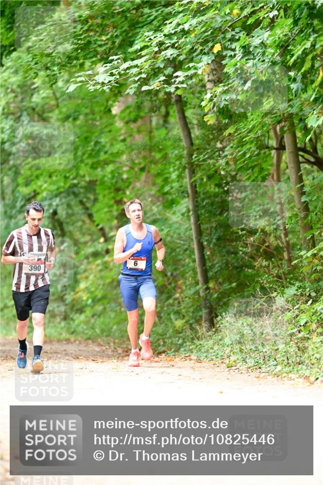 11.10.2026 - Bramfelder Halbmarathon 2026 Dr. Thomas Lammeyer http://msf.ph/oto/10825446 11.10.2026 10:50:04 Laufen  meine-sportfotos.de