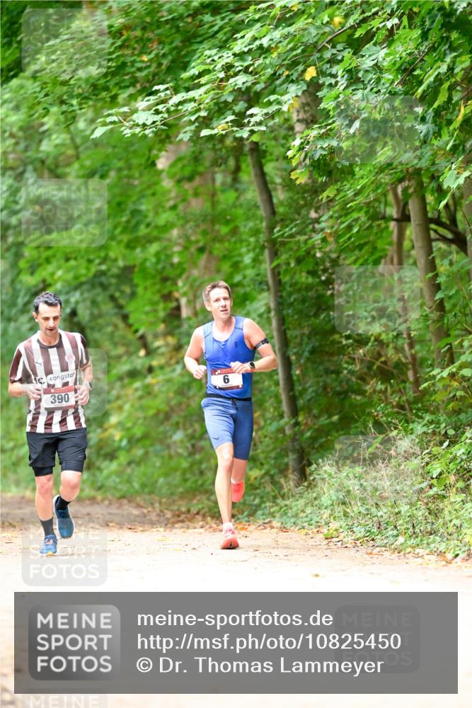 11.10.2026 - Bramfelder Halbmarathon 2026 Dr. Thomas Lammeyer http://msf.ph/oto/10825450 11.10.2026 10:50:04 Laufen 390, 6 meine-sportfotos.de