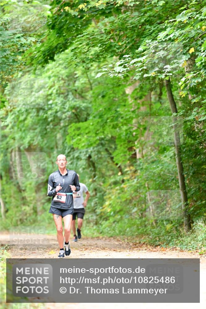 11.10.2026 - Bramfelder Halbmarathon 2026 Dr. Thomas Lammeyer http://msf.ph/oto/10825486 11.10.2026 10:50:13 Laufen  meine-sportfotos.de