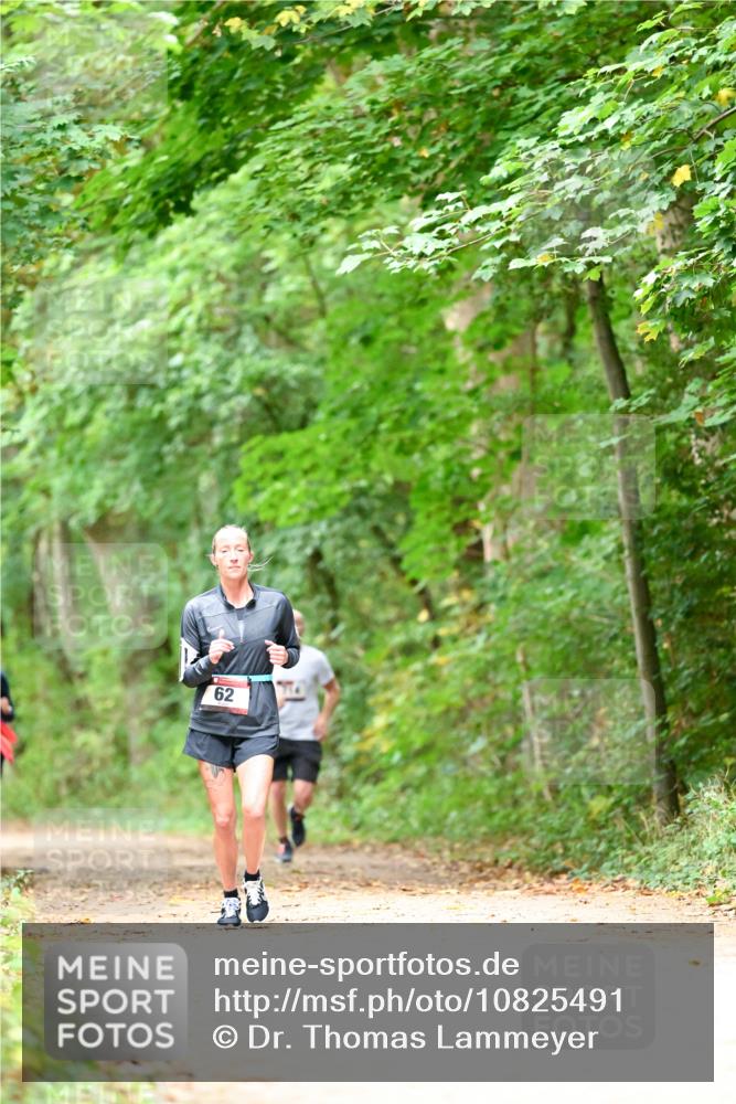 11.10.2026 - Bramfelder Halbmarathon 2026 Dr. Thomas Lammeyer http://msf.ph/oto/10825491 11.10.2026 10:50:14 Laufen 62 meine-sportfotos.de