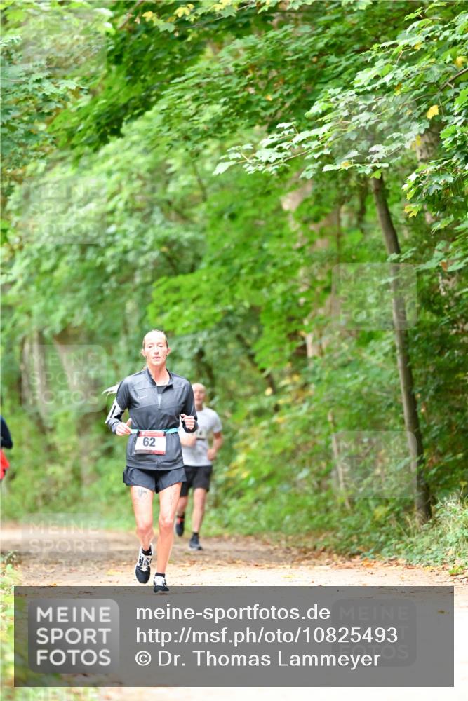 11.10.2026 - Bramfelder Halbmarathon 2026 Dr. Thomas Lammeyer http://msf.ph/oto/10825493 11.10.2026 10:50:14 Laufen 2, 62 meine-sportfotos.de