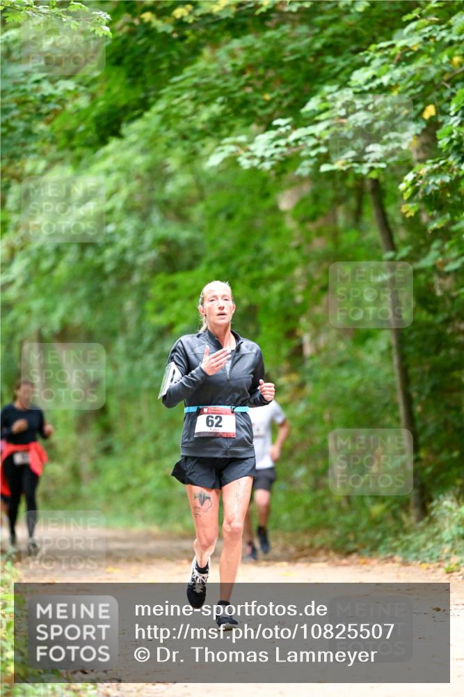 11.10.2026 - Bramfelder Halbmarathon 2026 Dr. Thomas Lammeyer http://msf.ph/oto/10825507 11.10.2026 10:50:16 Laufen 62 meine-sportfotos.de
