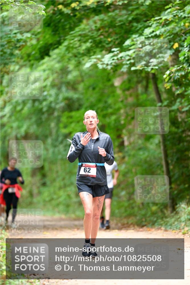 11.10.2026 - Bramfelder Halbmarathon 2026 Dr. Thomas Lammeyer http://msf.ph/oto/10825508 11.10.2026 10:50:16 Laufen 62 meine-sportfotos.de