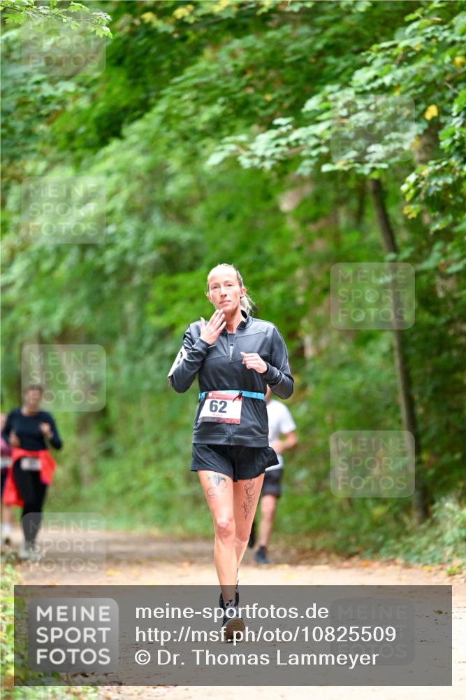 11.10.2026 - Bramfelder Halbmarathon 2026 Dr. Thomas Lammeyer http://msf.ph/oto/10825509 11.10.2026 10:50:16 Laufen 62 meine-sportfotos.de