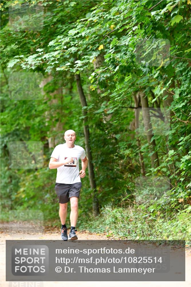 11.10.2026 - Bramfelder Halbmarathon 2026 Dr. Thomas Lammeyer http://msf.ph/oto/10825514 11.10.2026 10:50:20 Laufen  meine-sportfotos.de
