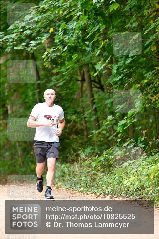 11.10.2026 - Bramfelder Halbmarathon 2026 Dr. Thomas Lammeyer http://msf.ph/oto/10825525 11.10.2026 10:50:21 Laufen 714 meine-sportfotos.de