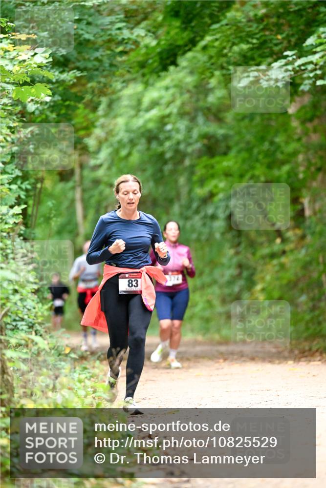 11.10.2026 - Bramfelder Halbmarathon 2026 Dr. Thomas Lammeyer http://msf.ph/oto/10825529 11.10.2026 10:50:23 Laufen 83 meine-sportfotos.de