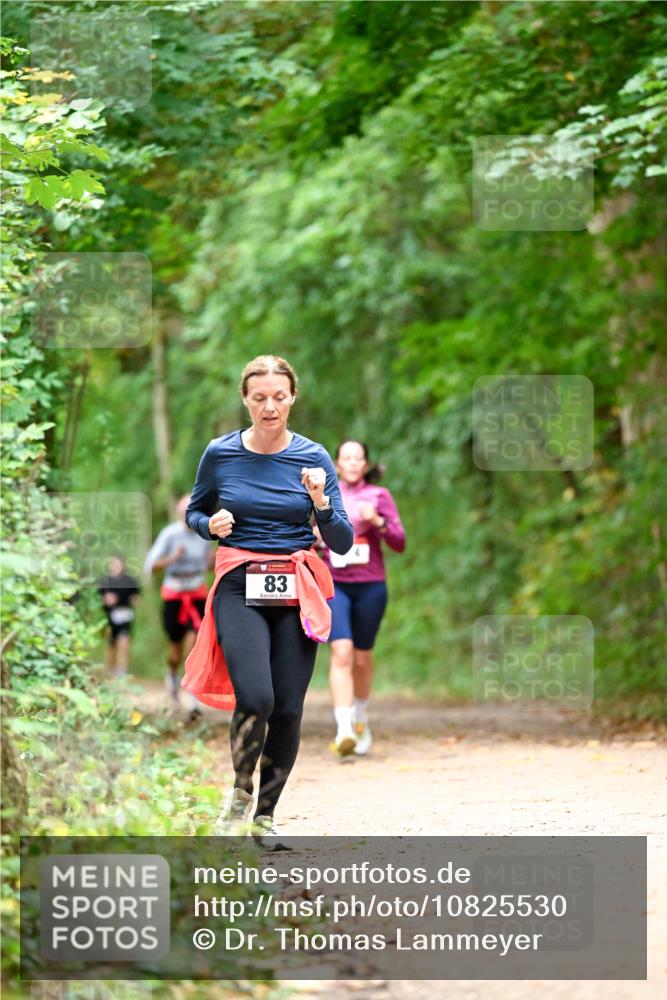 11.10.2026 - Bramfelder Halbmarathon 2026 Dr. Thomas Lammeyer http://msf.ph/oto/10825530 11.10.2026 10:50:23 Laufen 83 meine-sportfotos.de
