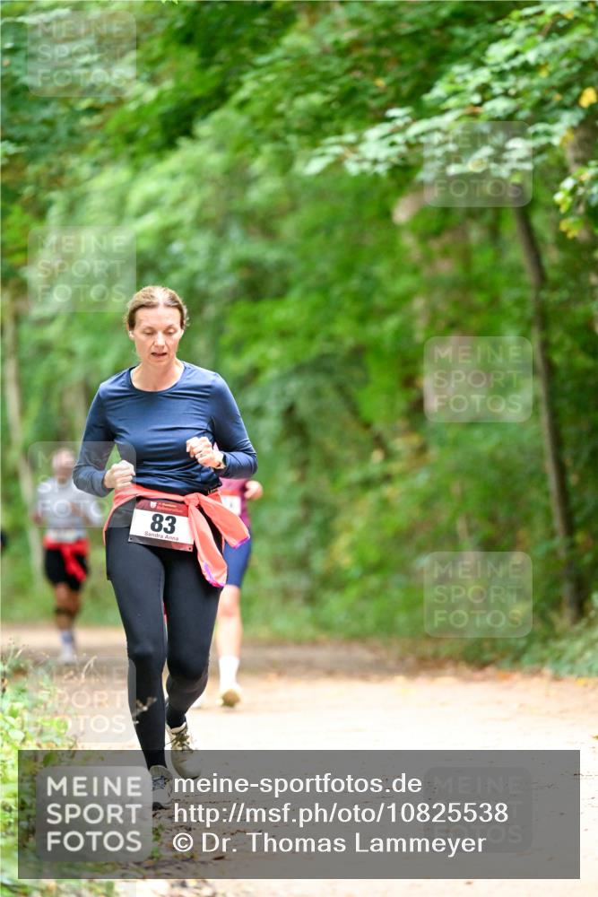 11.10.2026 - Bramfelder Halbmarathon 2026 Dr. Thomas Lammeyer http://msf.ph/oto/10825538 11.10.2026 10:50:24 Laufen 83 meine-sportfotos.de