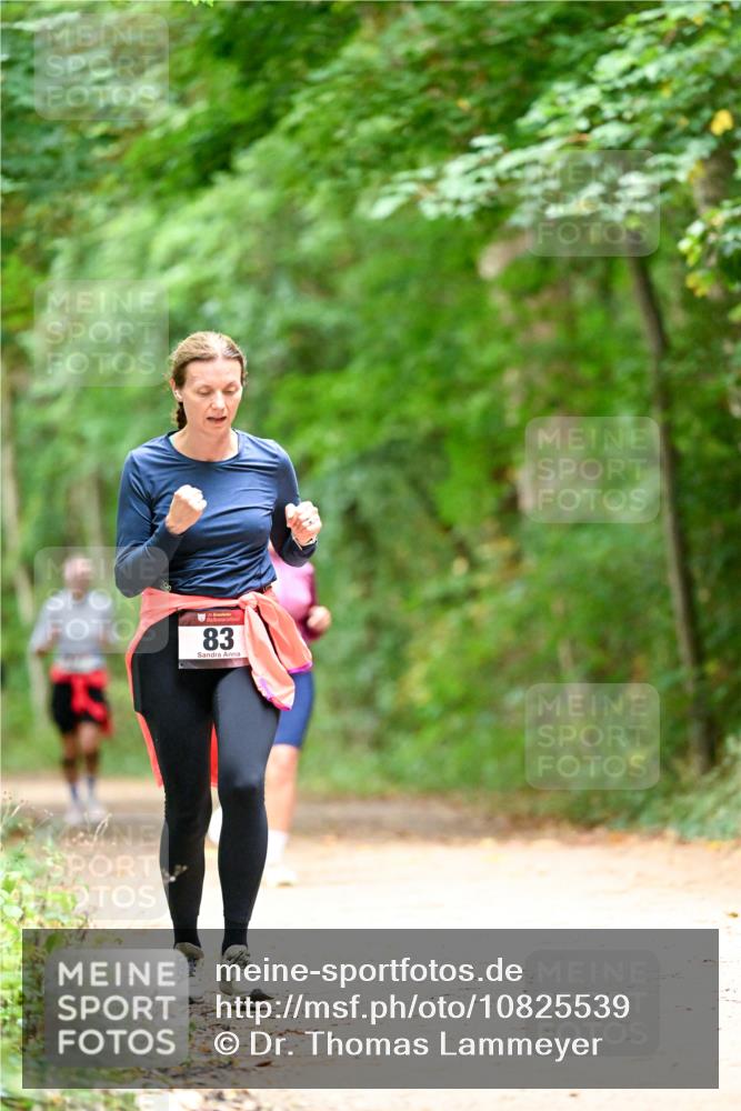 11.10.2026 - Bramfelder Halbmarathon 2026 Dr. Thomas Lammeyer http://msf.ph/oto/10825539 11.10.2026 10:50:24 Laufen 83 meine-sportfotos.de