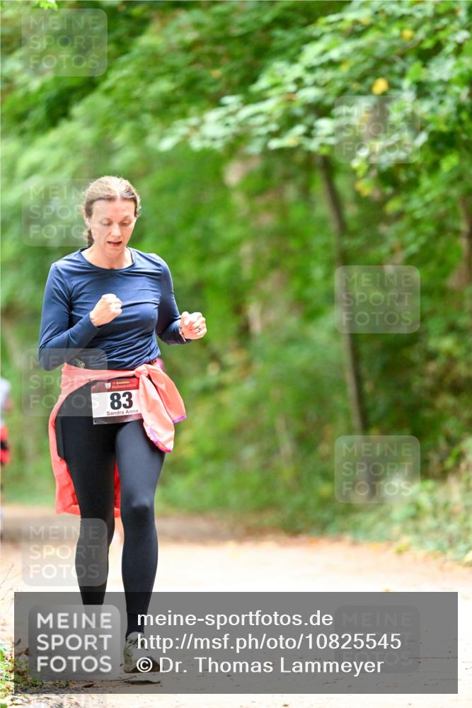 11.10.2026 - Bramfelder Halbmarathon 2026 Dr. Thomas Lammeyer http://msf.ph/oto/10825545 11.10.2026 10:50:25 Laufen 83 meine-sportfotos.de
