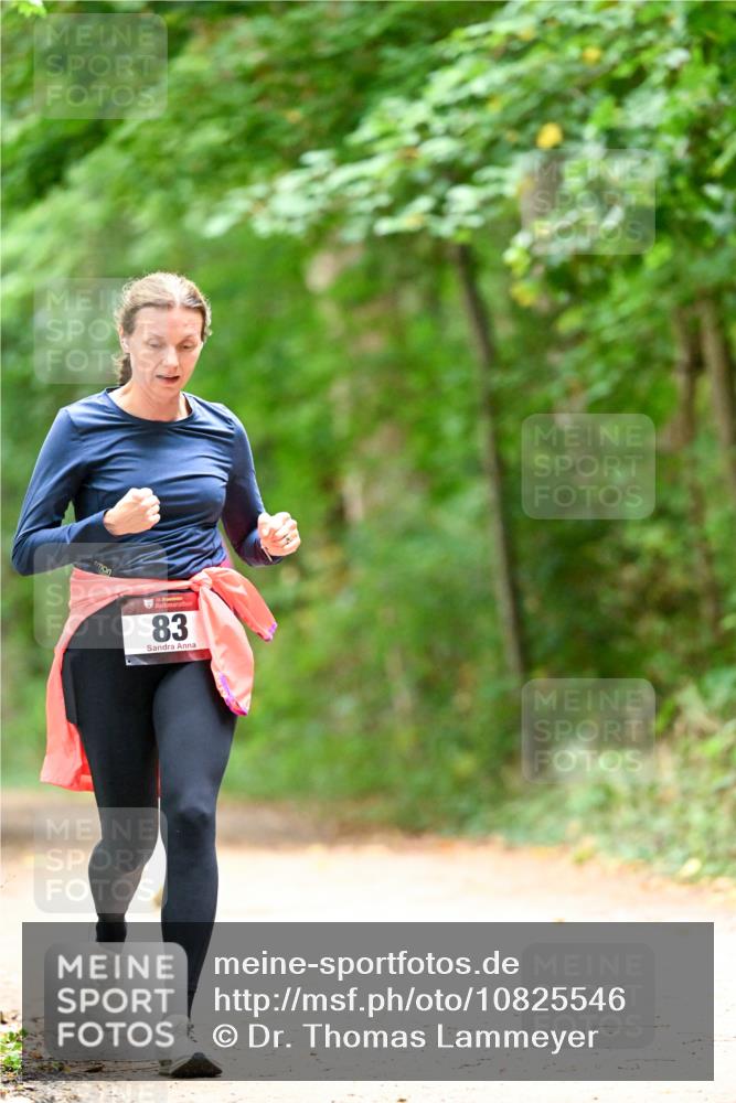 11.10.2026 - Bramfelder Halbmarathon 2026 Dr. Thomas Lammeyer http://msf.ph/oto/10825546 11.10.2026 10:50:25 Laufen 35, 83 meine-sportfotos.de