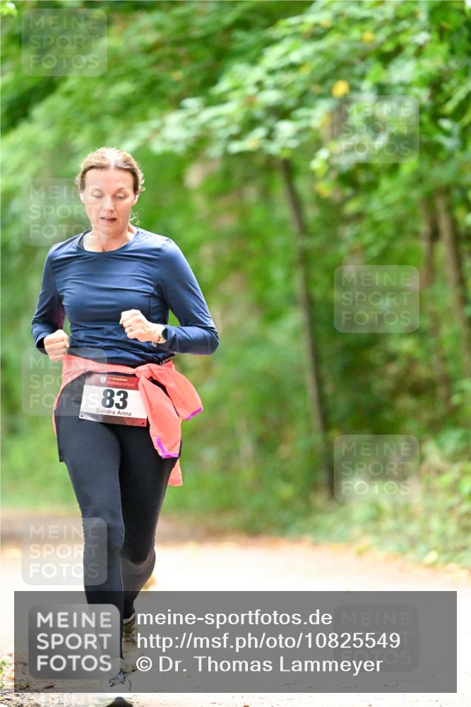 11.10.2026 - Bramfelder Halbmarathon 2026 Dr. Thomas Lammeyer http://msf.ph/oto/10825549 11.10.2026 10:50:25 Laufen 83 meine-sportfotos.de