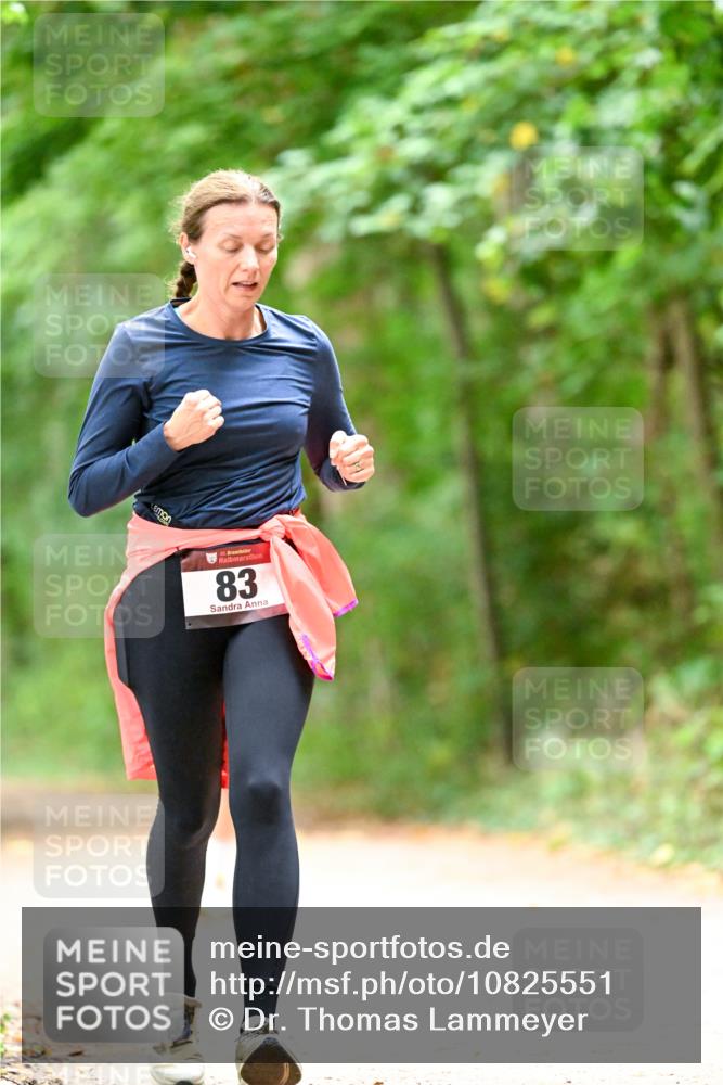 11.10.2026 - Bramfelder Halbmarathon 2026 Dr. Thomas Lammeyer http://msf.ph/oto/10825551 11.10.2026 10:50:26 Laufen 35, 83 meine-sportfotos.de